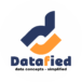 datafied logo white